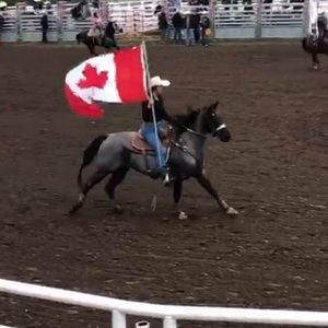 Meet your Posher, Jessie